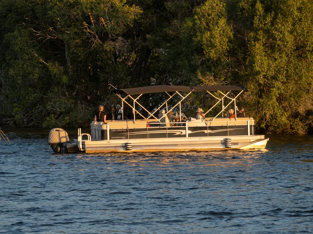 A canopied pontoon boat carrying guests along the tree-lined bank of the Zambezi at sunset